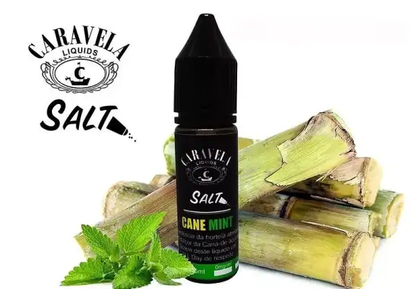 BLVK Unicorn: Juice NicSalt Lime Spearmint - Mint